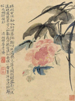 石涛花鸟画
