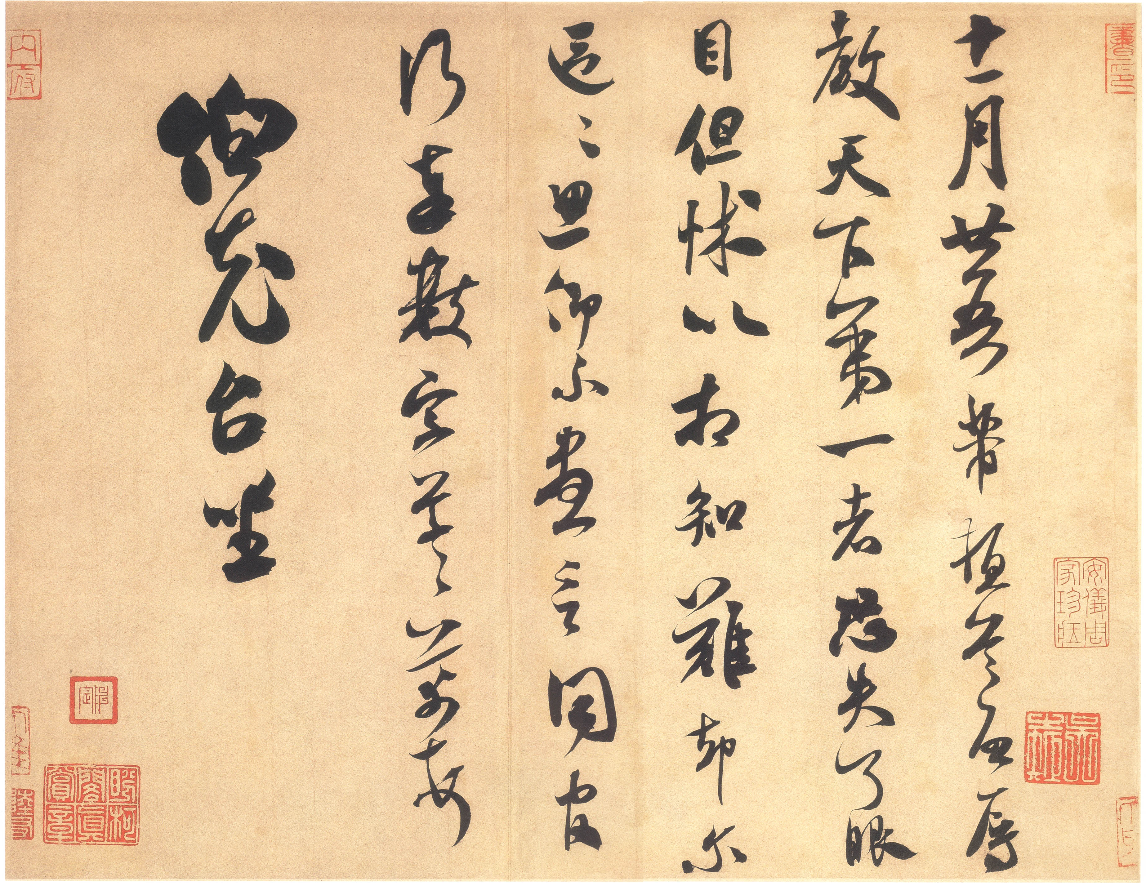 bochong.jpg
