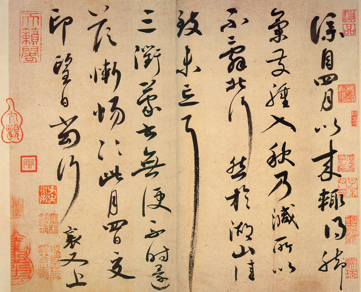 caixiang2X.jpg