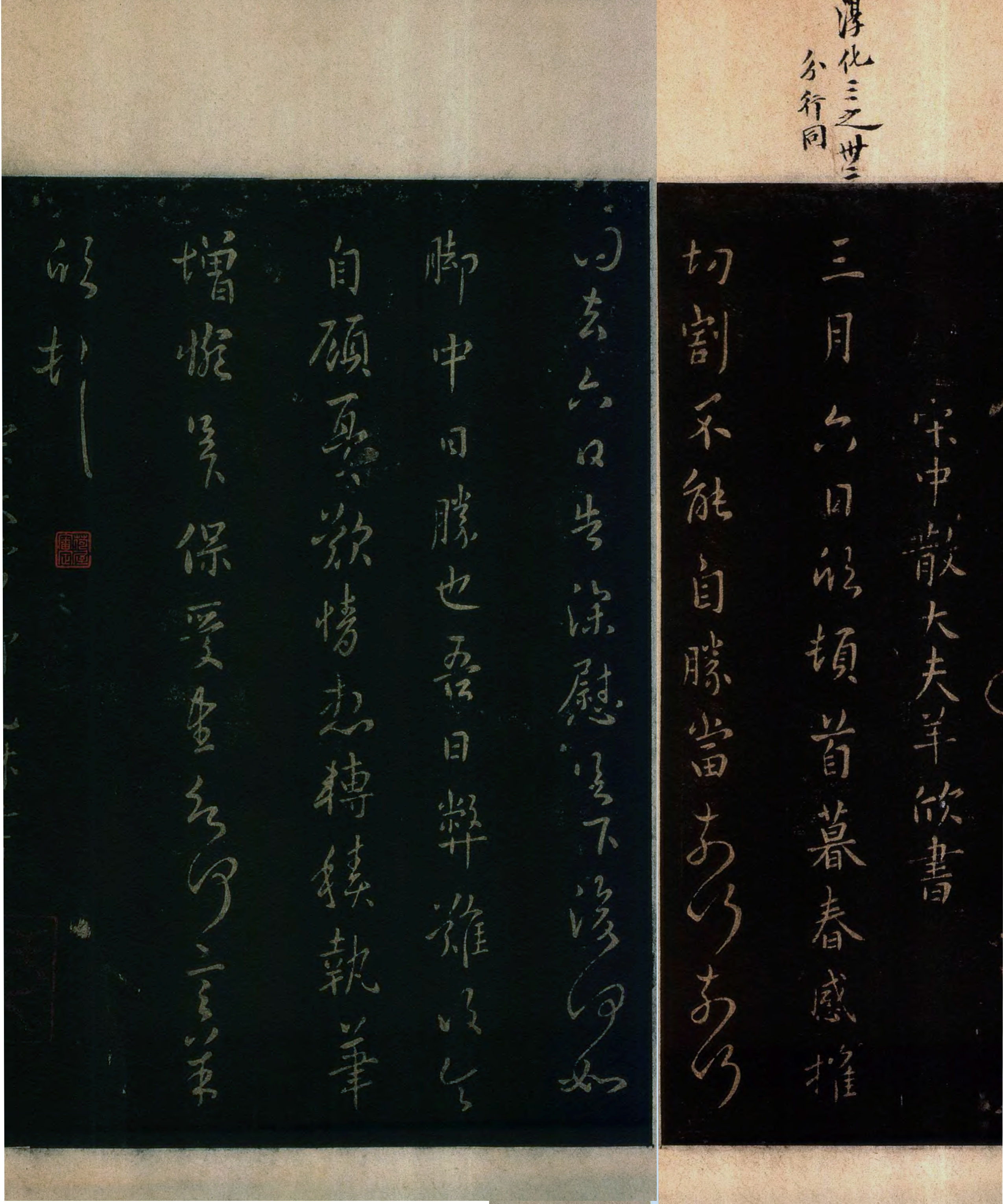 yangxin.jpg