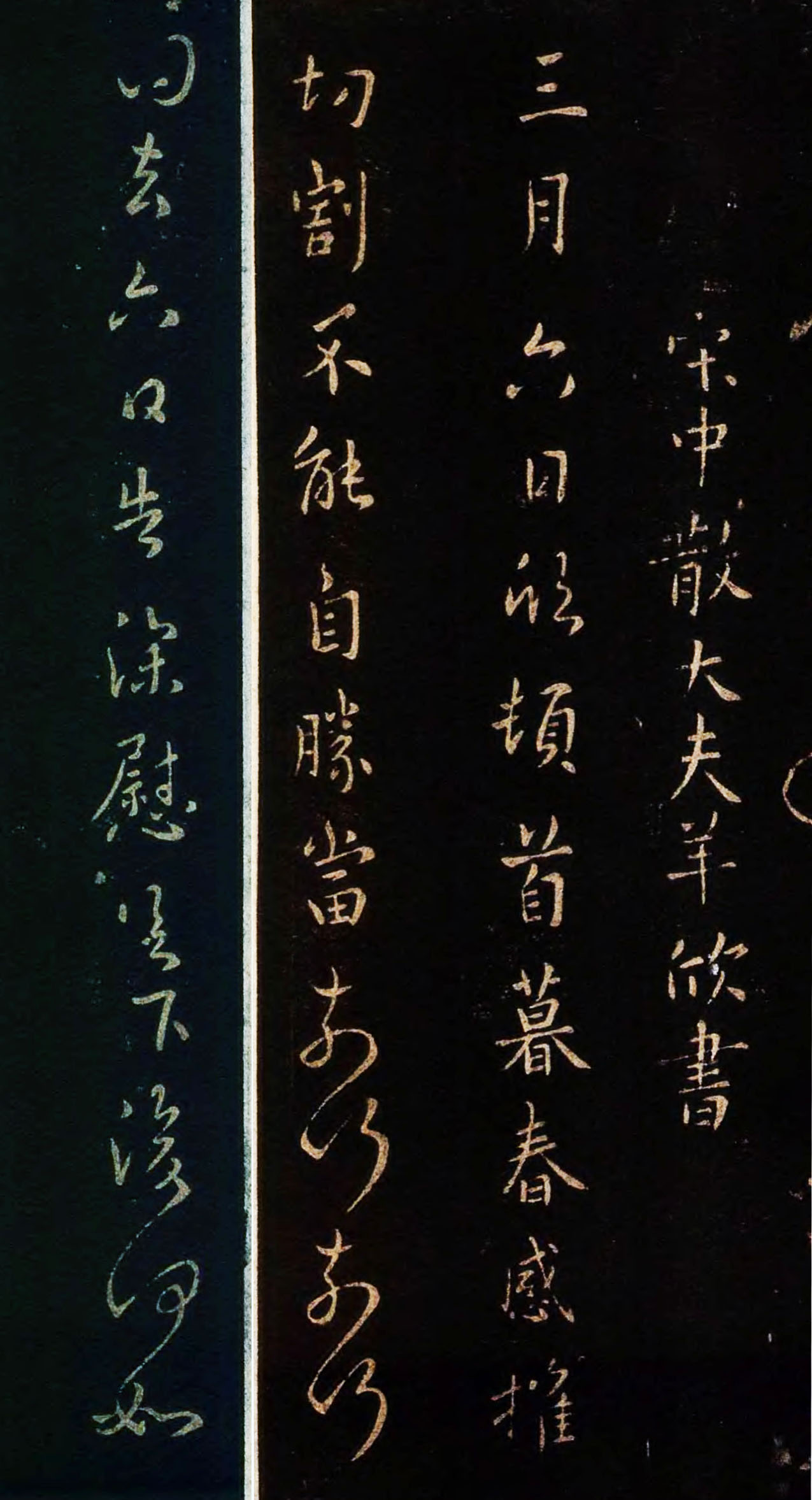 yangxin1.jpg