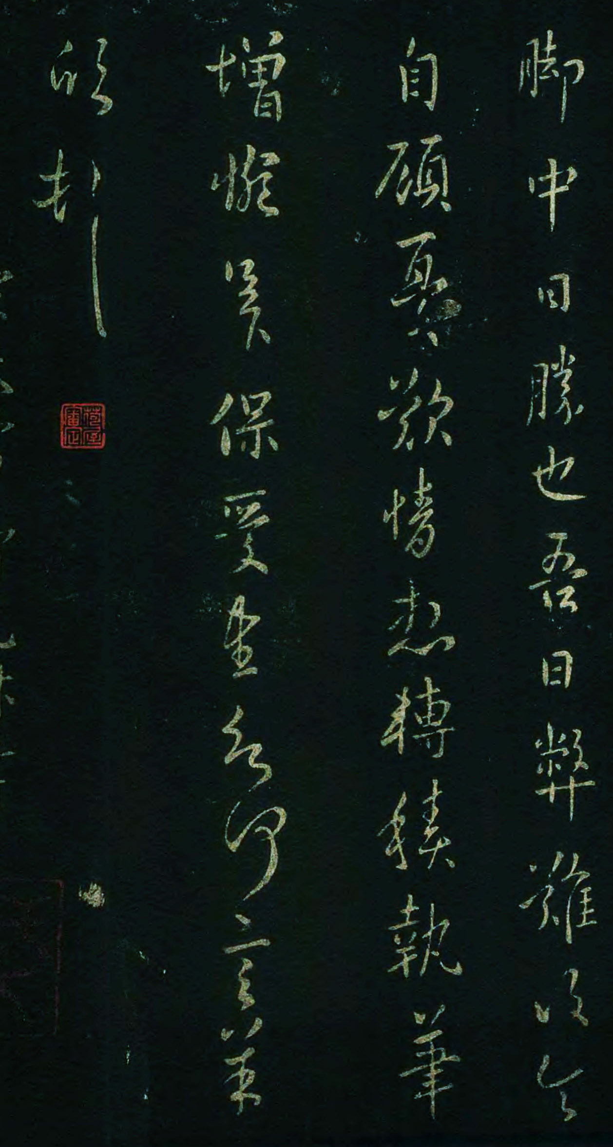 yangxin2.jpg